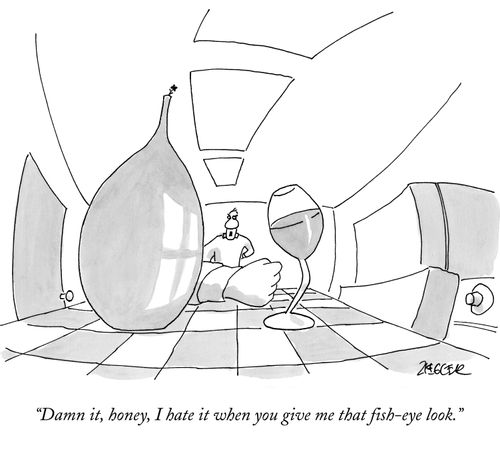 The Fish-Eye look
