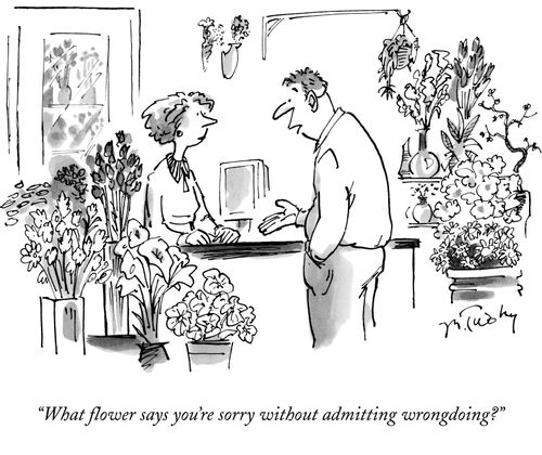 "What flower says you're sorry without admitting wrongdoing?"