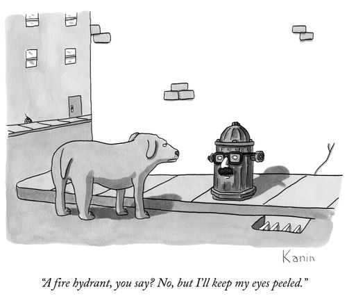 "A fire hydrant, you say? No, but I'll keep my eyes peeled."