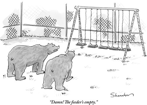 "Damn! The feeder's empty."