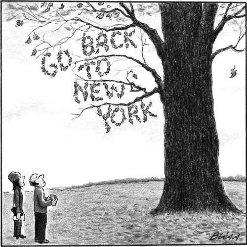 Go Back to New York