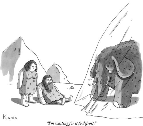 "I'm waiting for it to defrost."