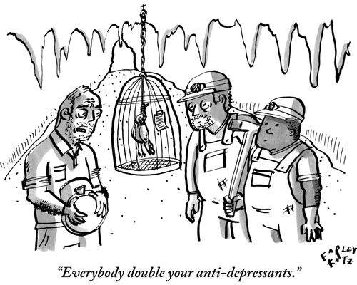 "Everybody double your anti-depressants."