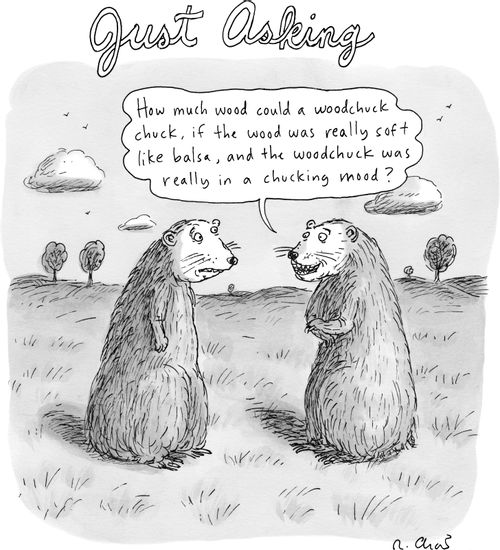 Just Asking 
