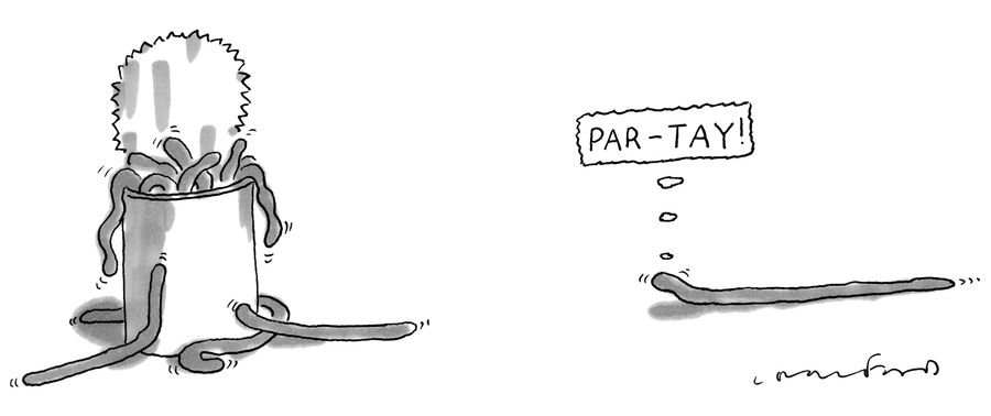 Par-tay!