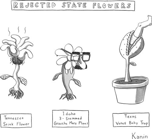 Rejected State Flowers