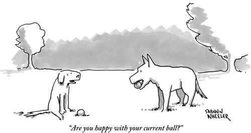 "Are you happy with your current ball?"