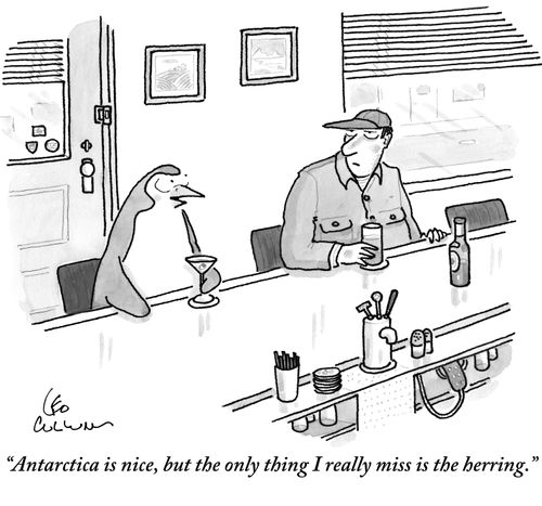 "Antarctica is nice, but the only thing I really miss is the herring."