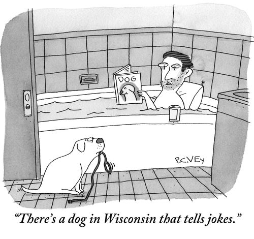 "There's a dog in Wisconsin that tells jokes."