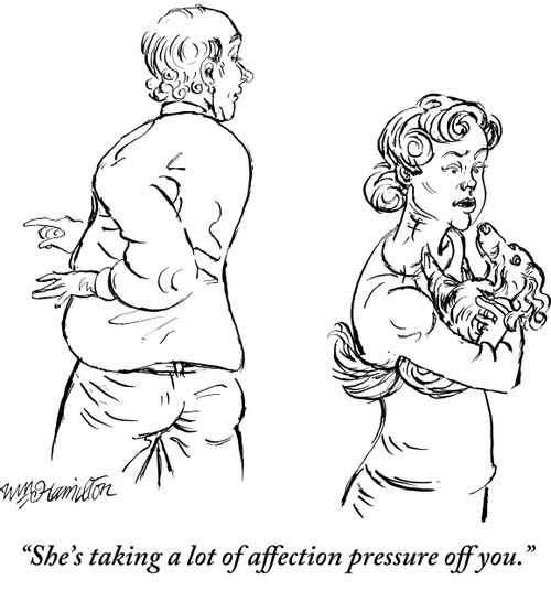 "She's taking a lot of affection pressure off you."
