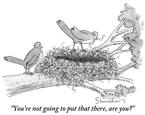 "You're not going to put that there, are you?"