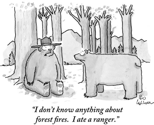 "I don't know anything about forest fires. I ate a ranger."