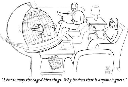 "I know why the caged bird sings. Why he does that is anyone's guess."