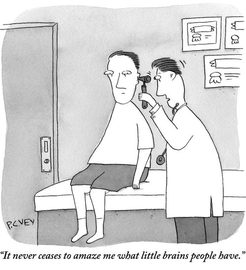 "It never ceases to amaze me what little brains people have."