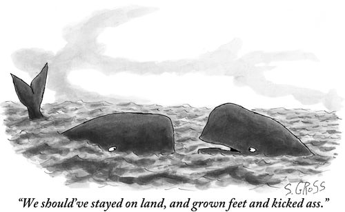 "We should've stayed on land, and grown feet and kicked ass."