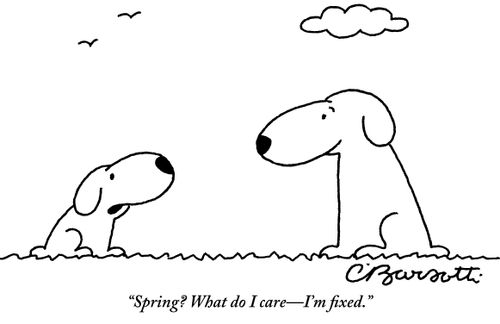 "Spring? What do I care—I'm fixed."