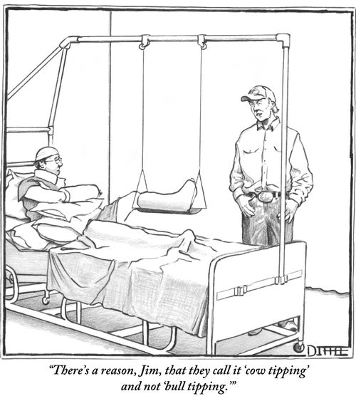 "There's a reason, Jim, that they call it 'cow tipping' and not 'bull tipping.'"