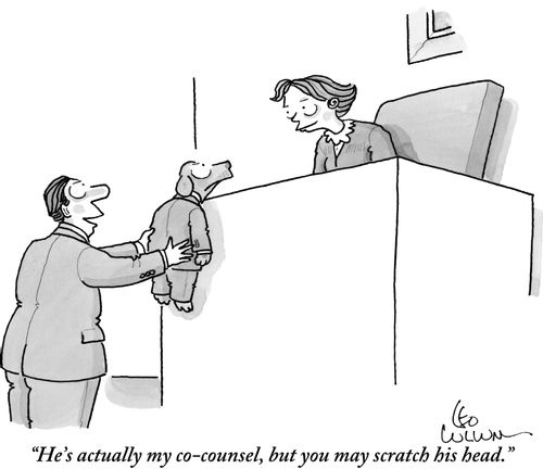 "He's actually my co-counsel, but you may scratch his head."