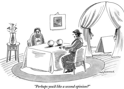 "Perhaps you'd like a second opinion?"