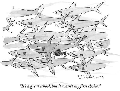 "It's a great school, but it wasn't my first choice."