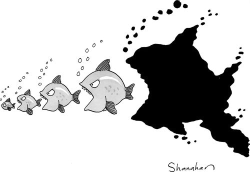 Oil Spill in the Gulf of Mexico