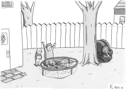 Spider's Web Trampoline
