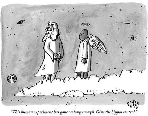 "This human experiment has gone on long enough. Give the hippos control."