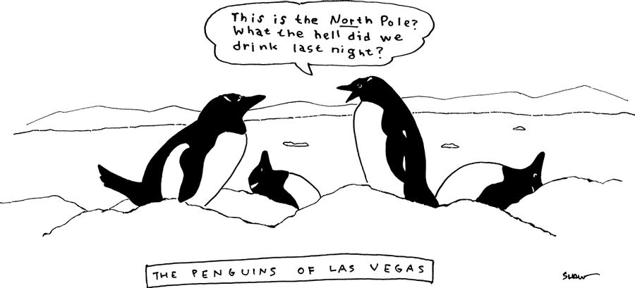 The Penguins of Las Vegas