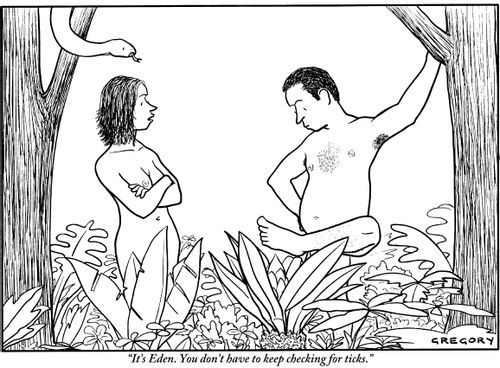 "It's Eden. You don't have to keep checking for ticks."