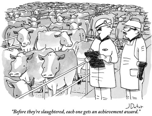 "Before they're slaughtered, each one gets an achievement award."