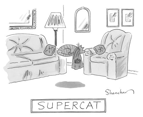 Supercat