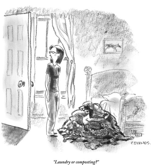 "Laundry or composting?"