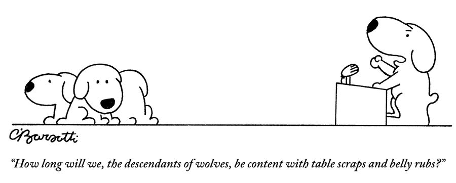 "How long will we, the descendants of wolves, be content with table scraps and belly rubs?"