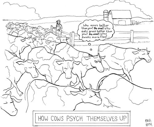 How Cows Psych Themselves Up