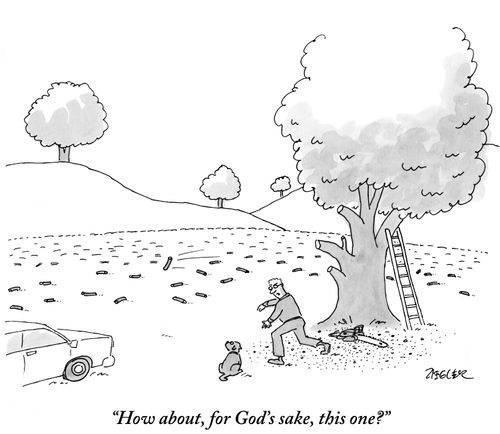"How about, for God's sake, this one?"