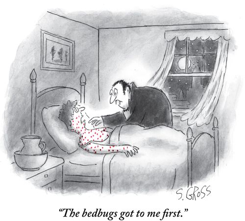 "The bedbugs got to me first."
