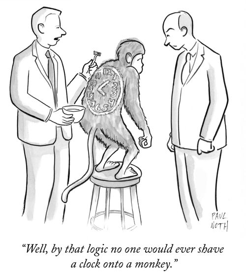 "Well, by that logic no one would ever shave a clock onto a monkey."