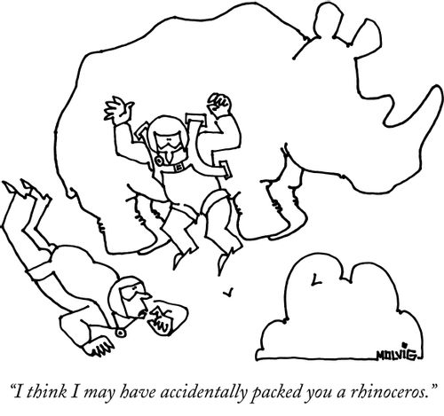 "I think I may have accidentally packed you a rhinoceros."