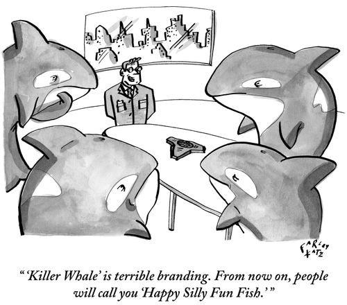 "'Killer Whale' is terrible branding. From now on, people will call you 'Happy Silly Fun Fish.'"