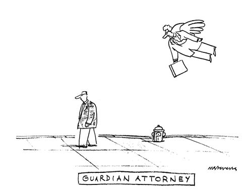 Guardian Attorney