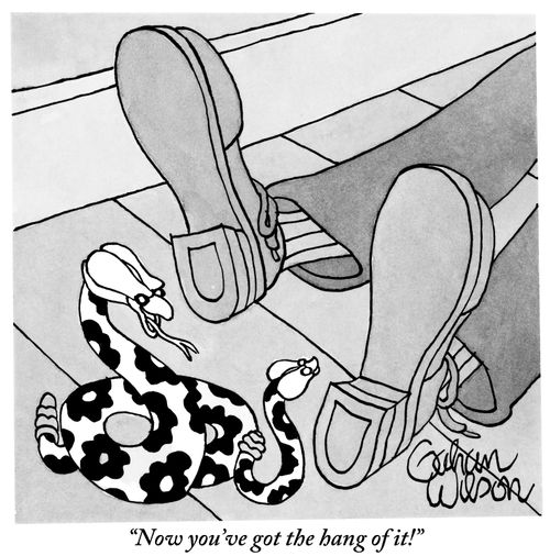 "Now you've got the hang of it!"