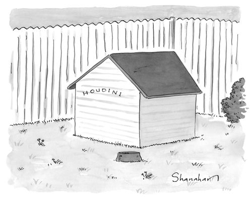 Houdini.