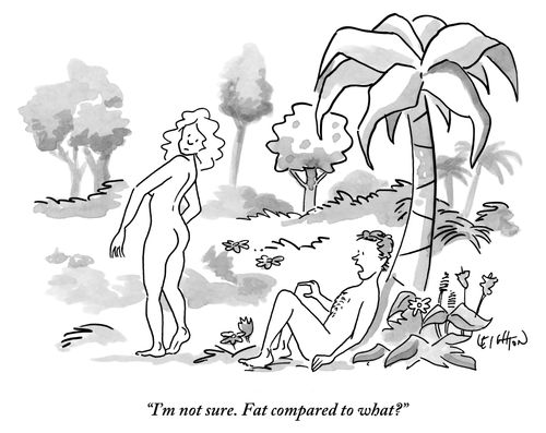 "I'm not sure. Fat compared to what?"