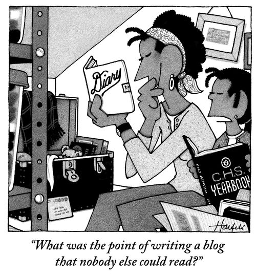 "What was the point of writing a blog that nobody else could read?"