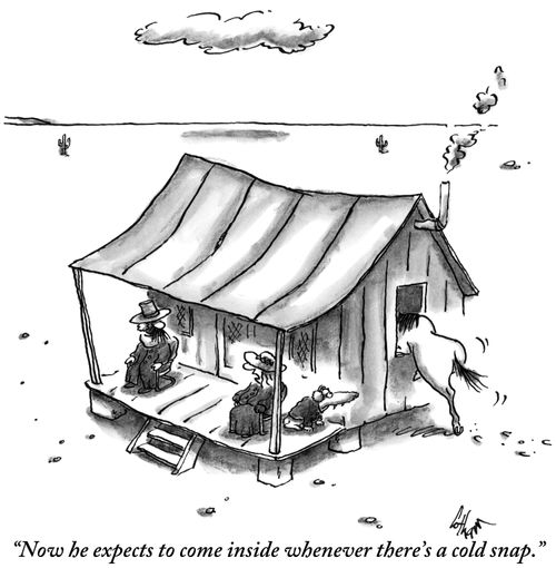 "Now he expects to come in whenever there's a cold snap."