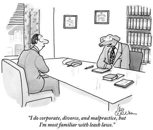 "I do corporate, divorce, and malpractice, but I'm most familiar with leash laws."
