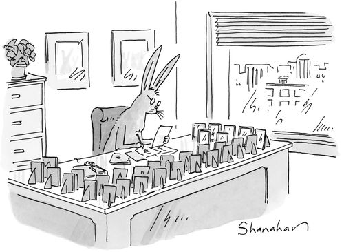 A rabbit sits at an office desk, the edges of which are lined with numerous framed pictures of his many offspring.