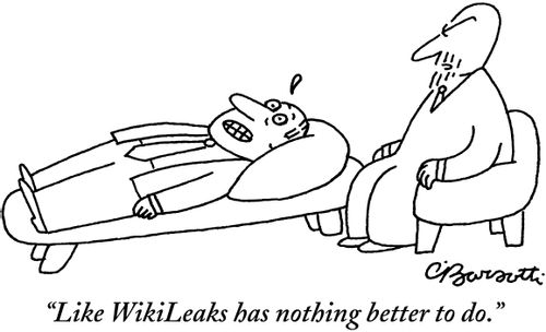 "Like WikiLeaks has nothing better to do."