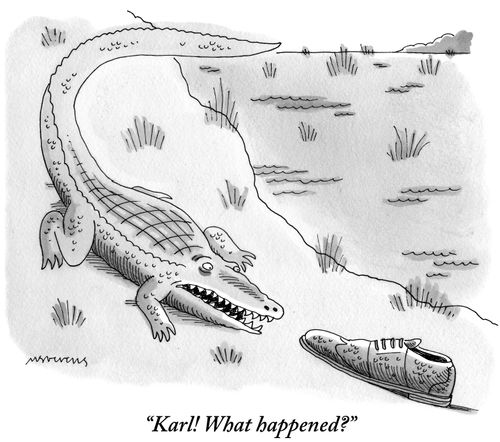 "Karl! What happened?"