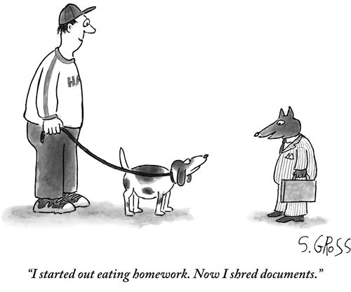"I started out eating homework. Now I shred documents."